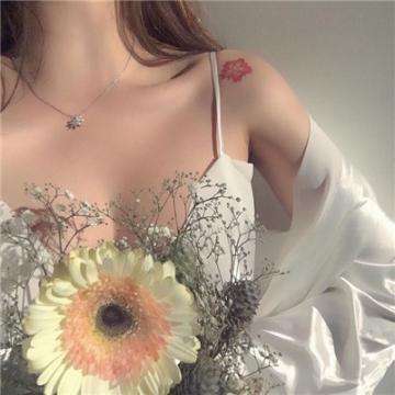 ky体育最新版下载地址截图